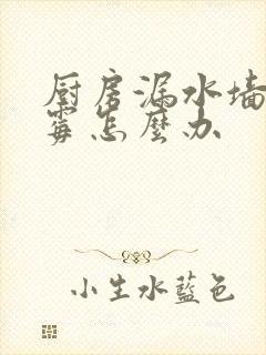 厨房漏水墙体发霉怎么办