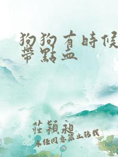 狗狗有时候尿里带点血