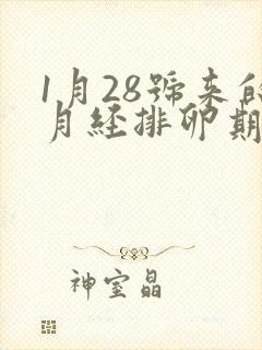 1月28号来的月经排卵期是什么时候