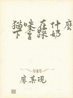 猫咪在什么情况下会踩奶