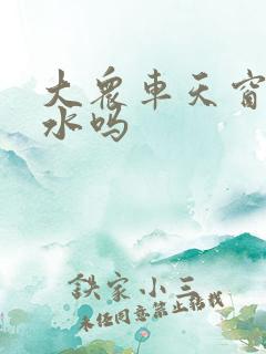 大众车天窗都漏水吗