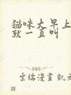 猫咪大早上起来就一直叫