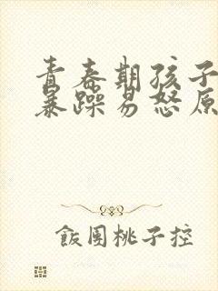 青春期孩子脾气暴躁易怒原因