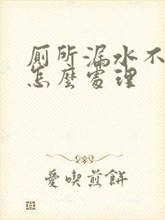 厕所漏水不砸砖怎么处理