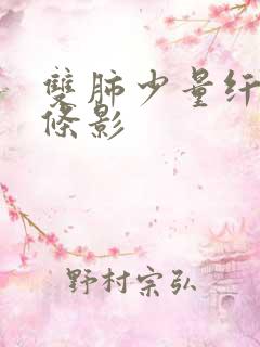 双肺少量纤维索条影