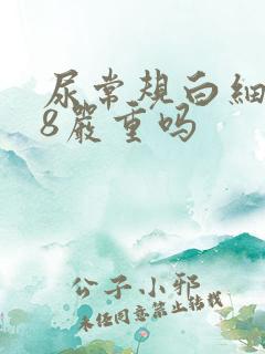 尿常规白细胞28严重吗