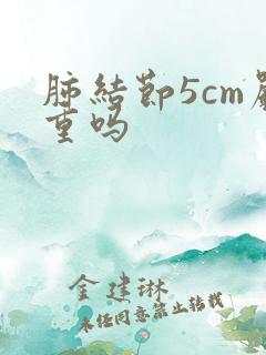 肺结节5cm严重吗