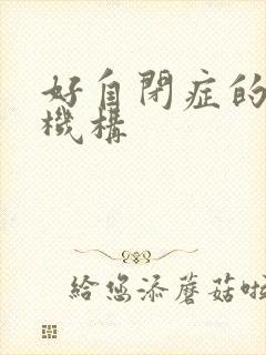 好自闭症的治疗机构