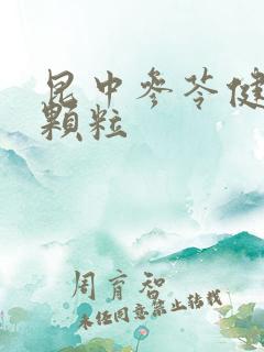 昆中参苓健脾胃颗粒