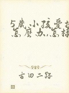 5岁小孩爱撒谎怎么办,怎样纠正