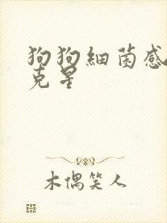 狗狗细菌感染的克星