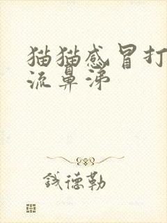 猫猫感冒打喷嚏流鼻涕