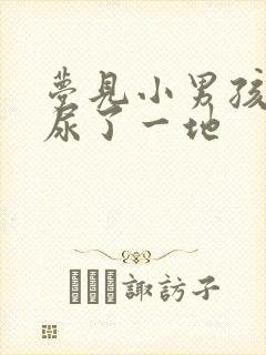 梦见小男孩在家尿了一地