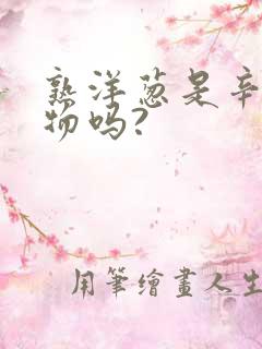 熟洋葱是辛辣食物吗?