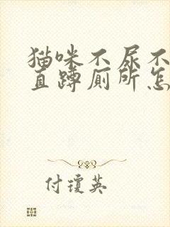 猫咪不尿不拉一直蹲厕所怎么办