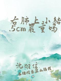 右肺上小结节0.5cm严重吗