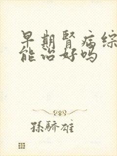 早期肾病综合征能治好吗