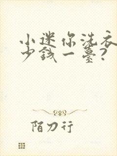 小迷你洗衣机多少钱一台?