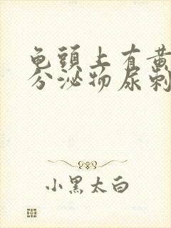 龟头上有黄绿色分泌物尿刺痛