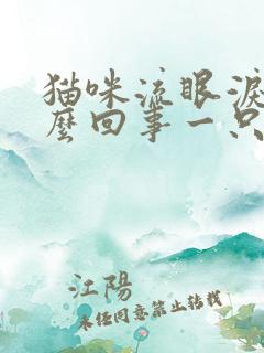 猫咪流眼泪是怎么回事一只眼睛流