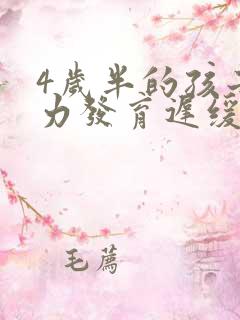 4岁半的孩子智力发育迟缓