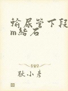 输尿管下段4mm结石