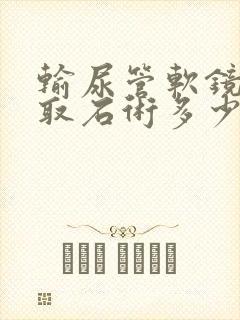 输尿管软镜碎石取石术多少钱