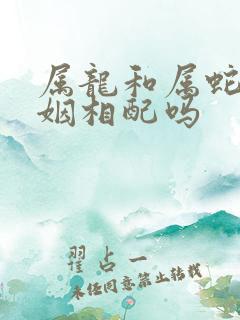 属龙和属蛇的婚姻相配吗