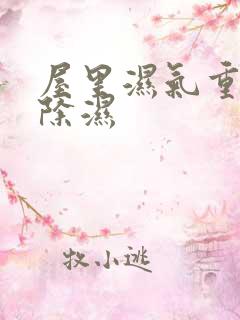 屋里湿气重怎么除湿