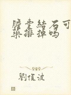 胆囊结石可以中药排掉吗