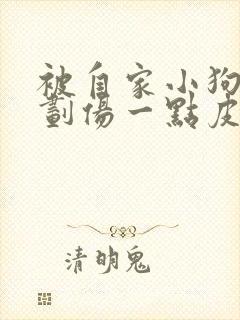 被自家小狗牙齿划伤一点皮出血有事吗