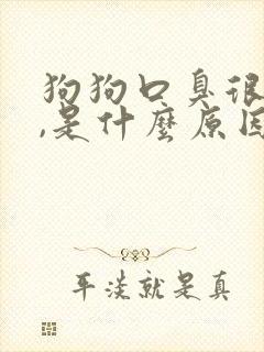 狗狗口臭很严重,是什么原因导致的?