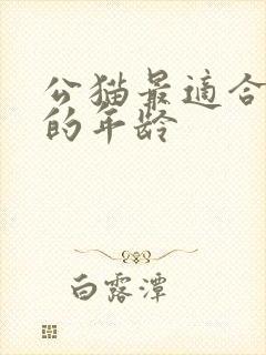 公猫最适合绝育的年龄