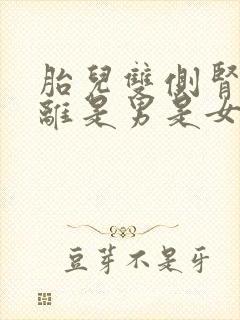 胎儿双侧肾盂分离是男是女