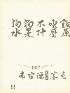 狗狗不吃饭不喝水是什么原因