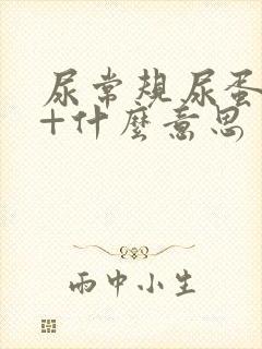 尿常规尿蛋白2+什么意思