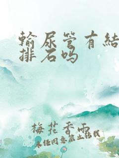 输尿管有结石能排石吗