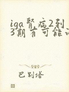 iga肾病2到3期有可能治愈吗