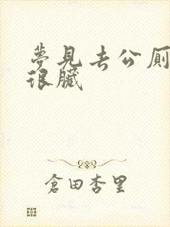 梦见去公厕小便很脏