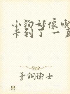 小狗好像吃东西卡到了 一直咳