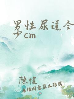 男性尿道全长多少cm