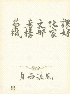 艺考文化课补习机构哪家好