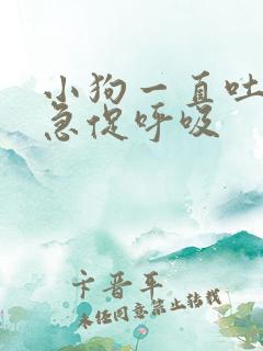 小狗一直吐舌头急促呼吸