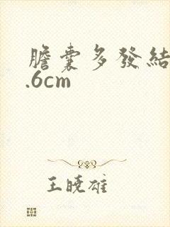 胆囊多发结石0.6cm