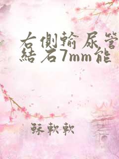 右侧输尿管上段结石7mm能自己排吗