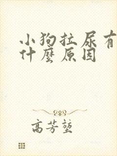 小狗拉尿有血是什么原因