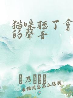 猫咪听了会过来的声音