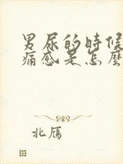 男尿的时候有刺痛感是怎么了