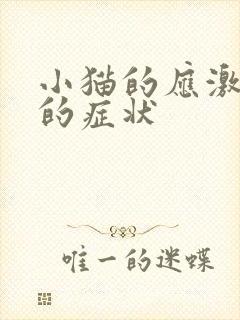 小猫的应激反应的症状