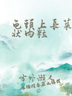 龟头上长菜花疣状肉粒